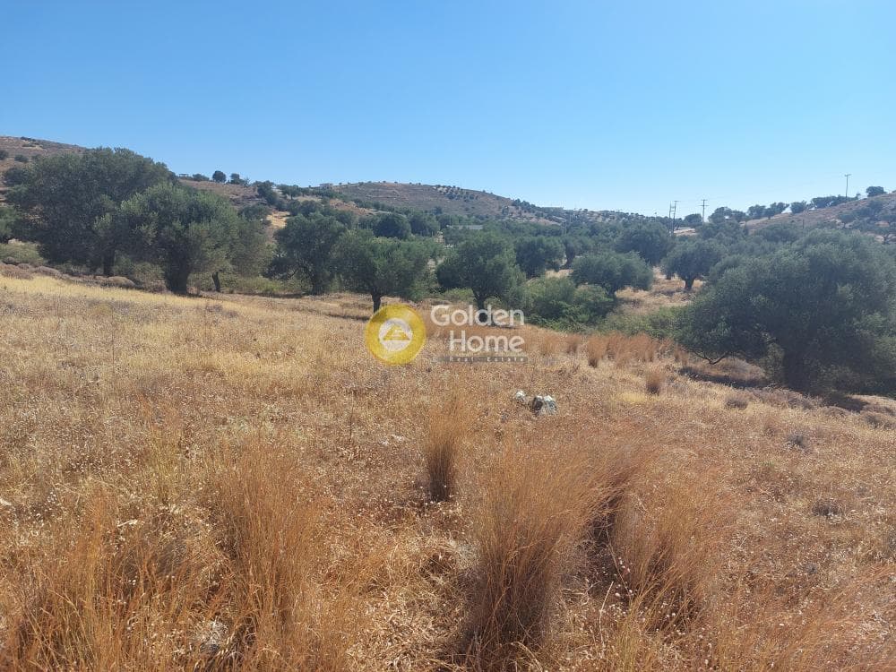 Parcel in Center, Keratea — Photo 2 of 5