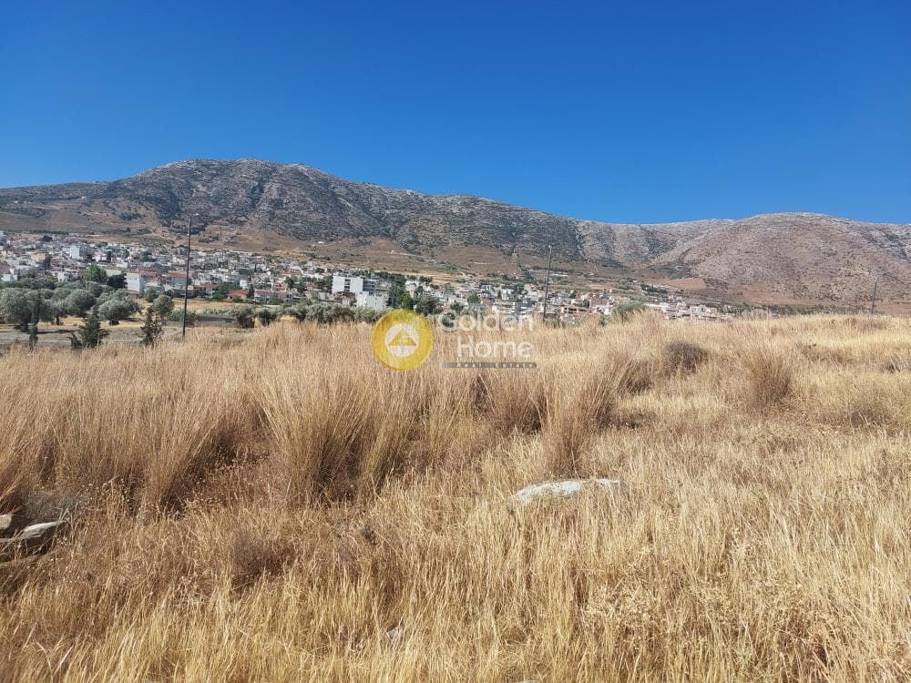 Parcel in Center, Keratea — Photo 4 of 5