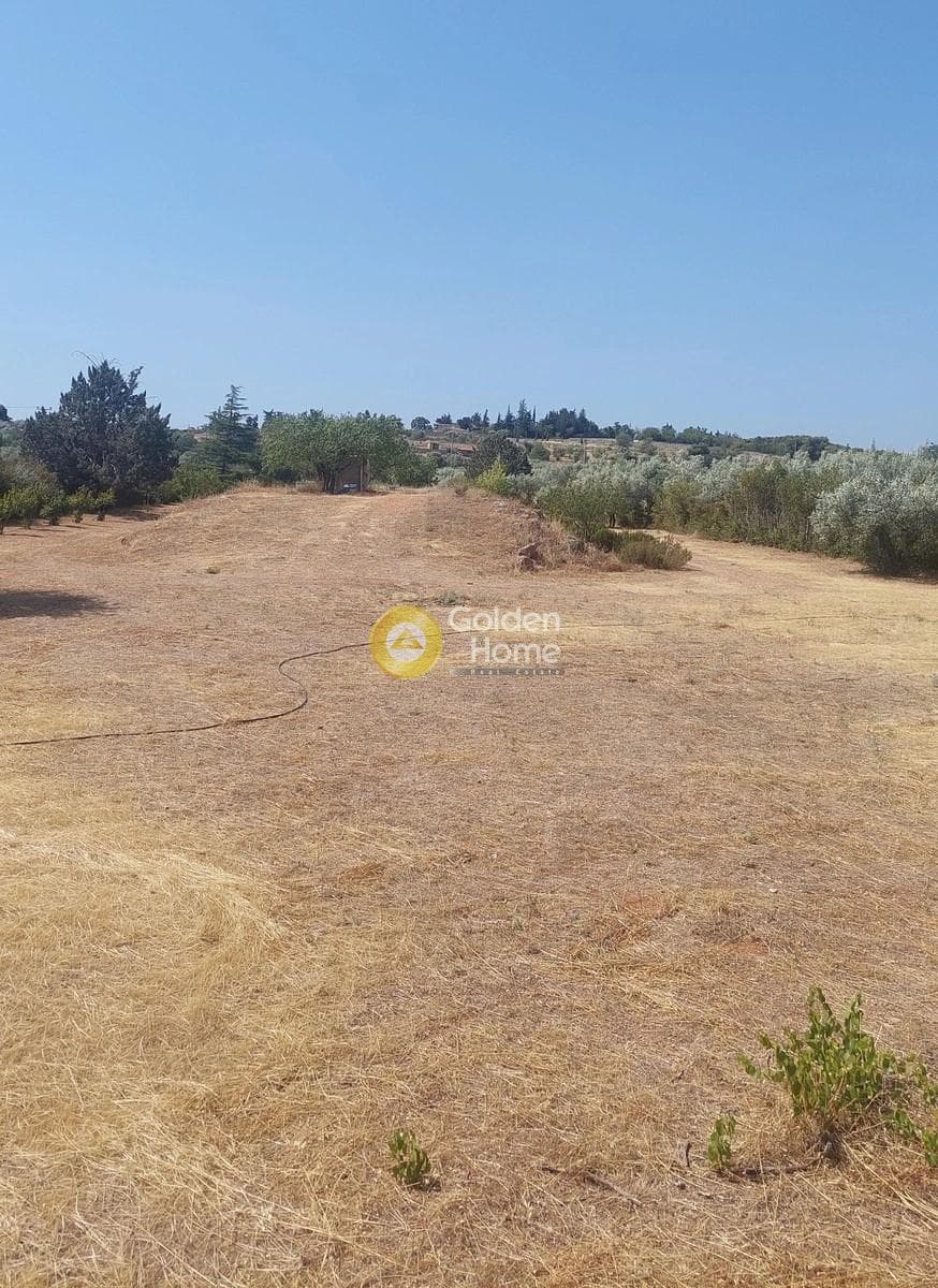 Αγροτεμάχιο στην Κέντρο, Κορωπί — Φωτογραφία 1 από 3