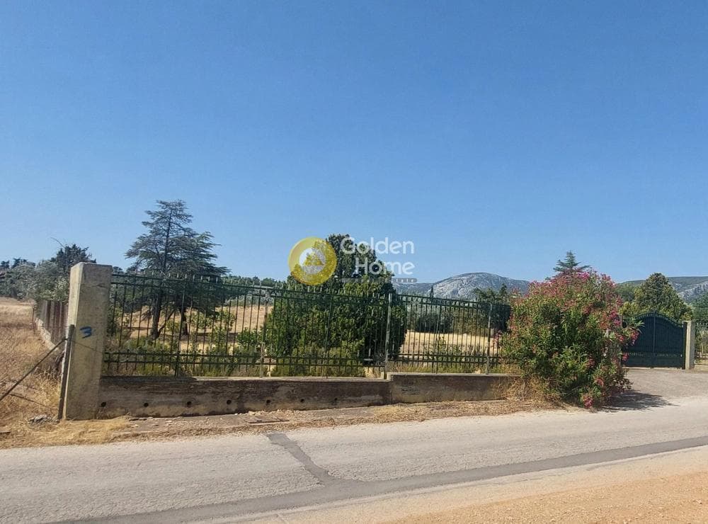 Αγροτεμάχιο στην Κέντρο, Κορωπί — Φωτογραφία 3 από 3