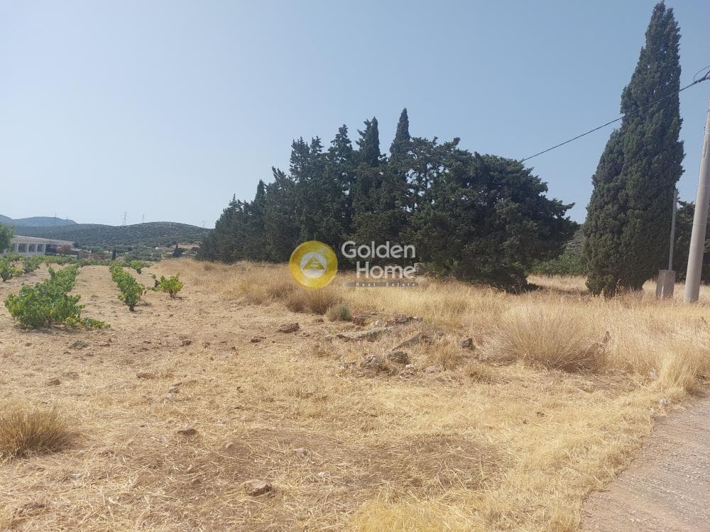 Building Plot in Venio Daskaleiou, Keratea — Photo 1 of 2