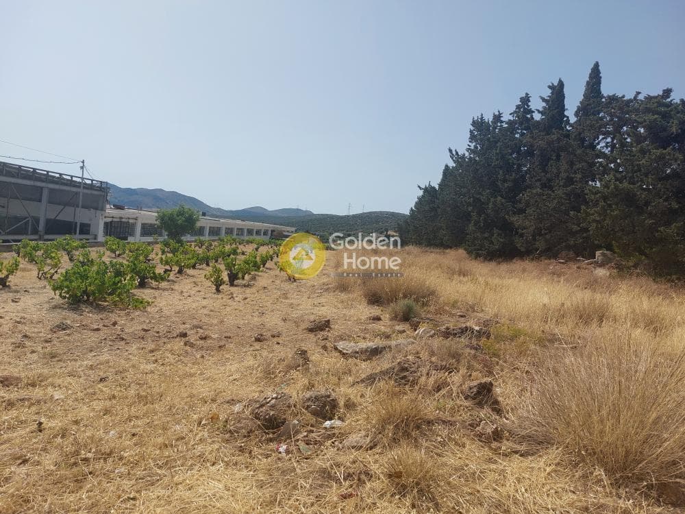 Building Plot in Venio Daskaleiou, Keratea — Photo 2 of 2