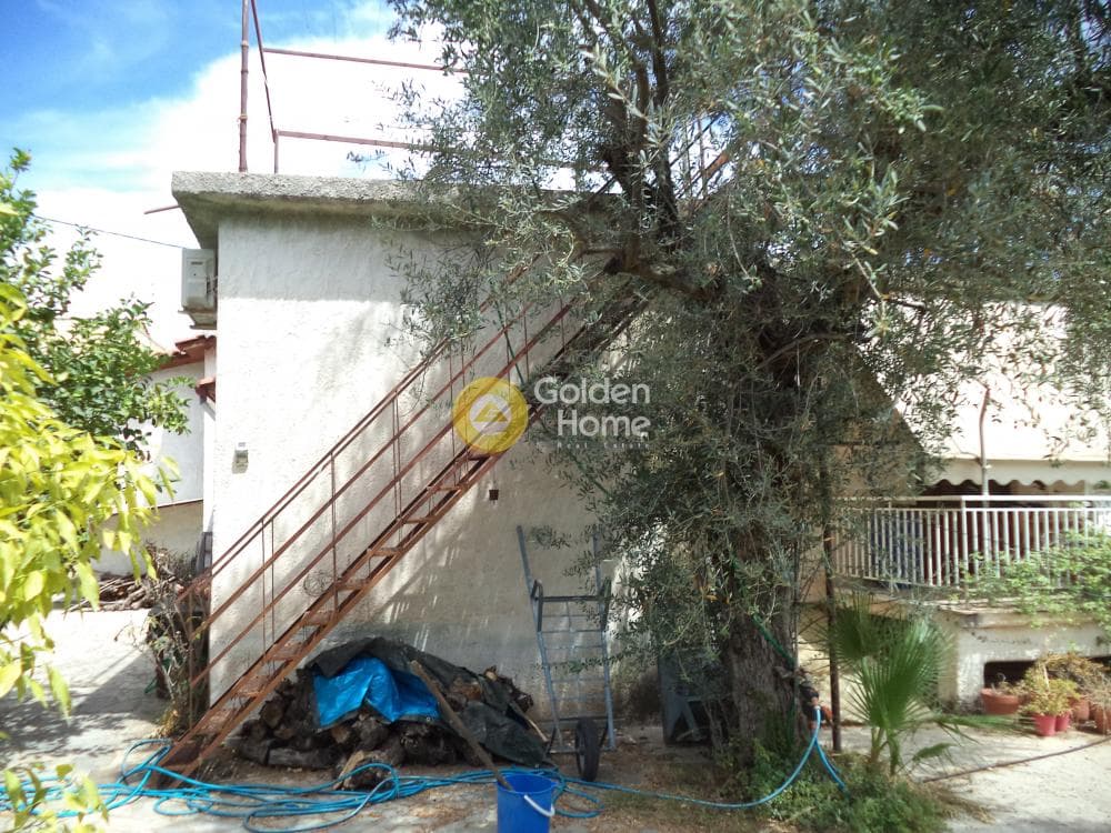 Μονοκατοικία στην Ελαιώνας, Διακοπτό — Φωτογραφία 14 από 18