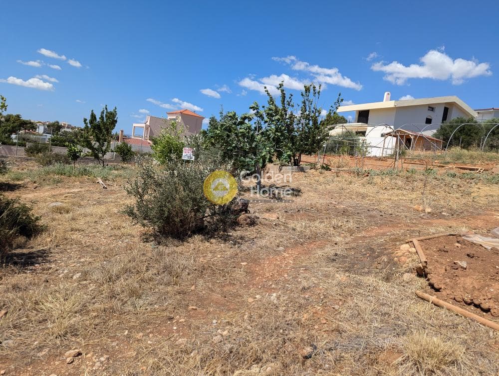 Οικόπεδο στην Νέος Βουτζάς - 1η Είσοδος, Ραφήνα — Φωτογραφία 5 από 5