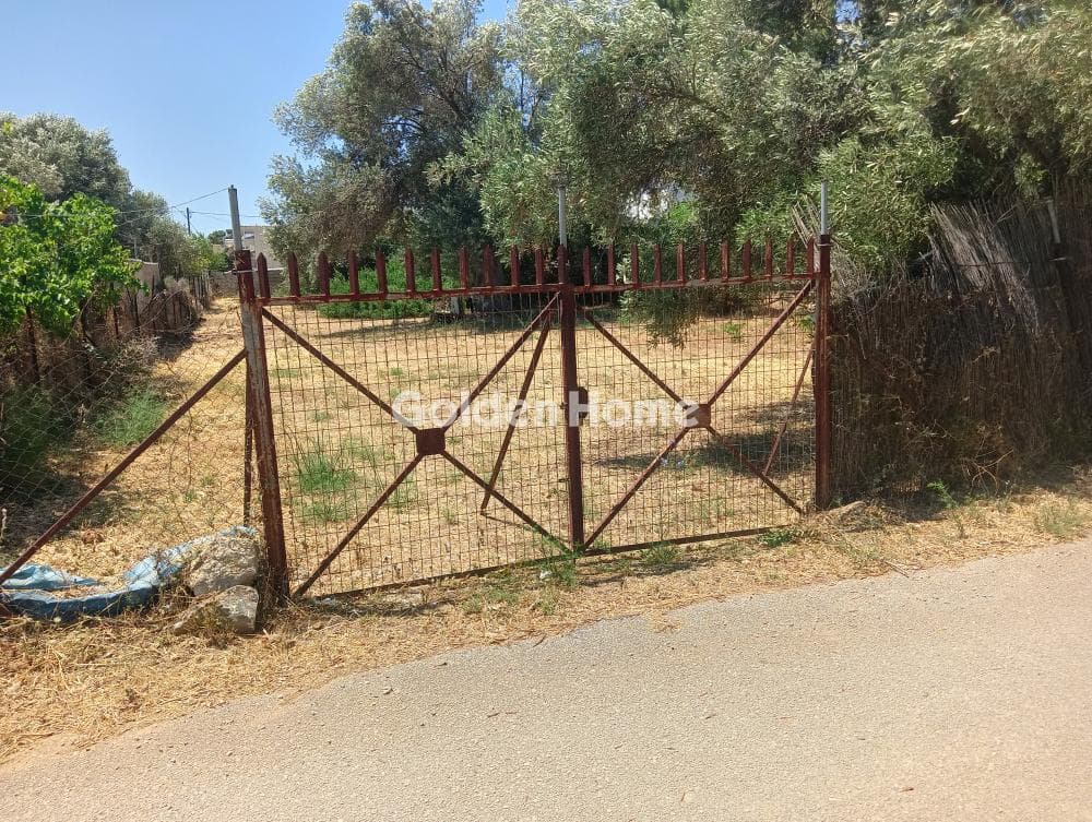 Οικόπεδο στην Αγία Τριάδα, Παιανία — Φωτογραφία 1 από 3