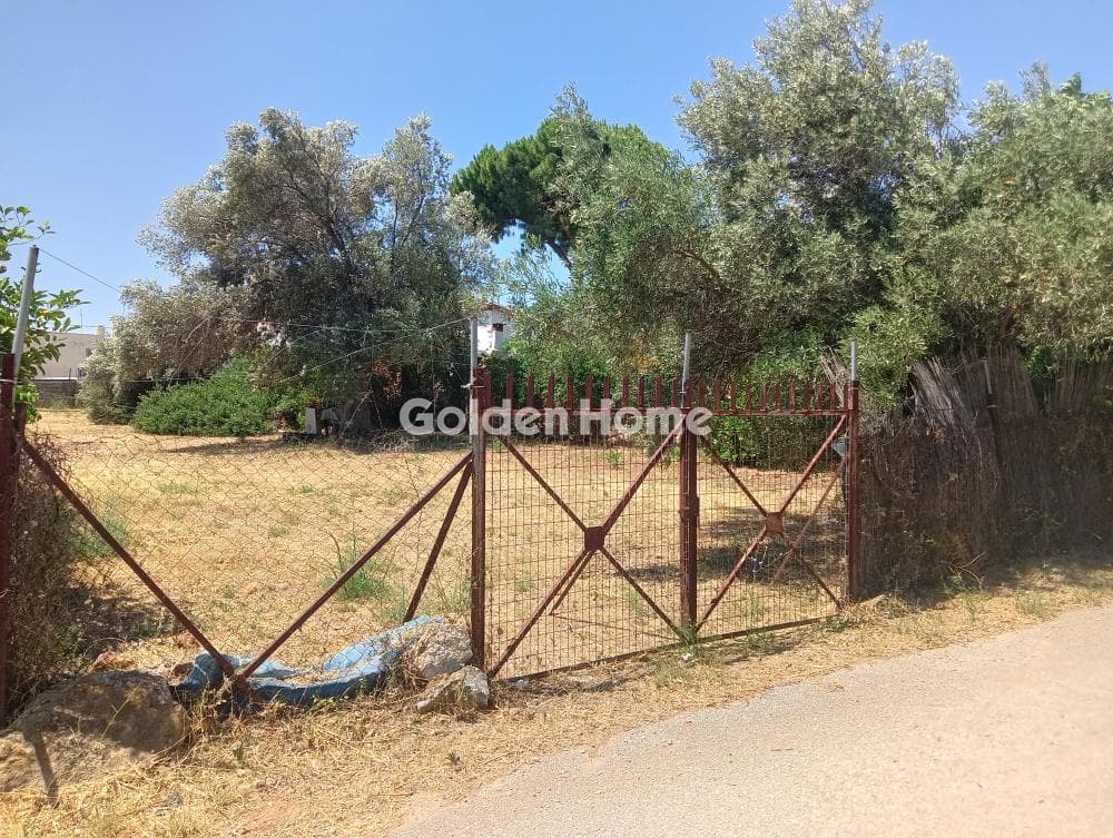 Οικόπεδο στην Αγία Τριάδα, Παιανία — Φωτογραφία 2 από 3