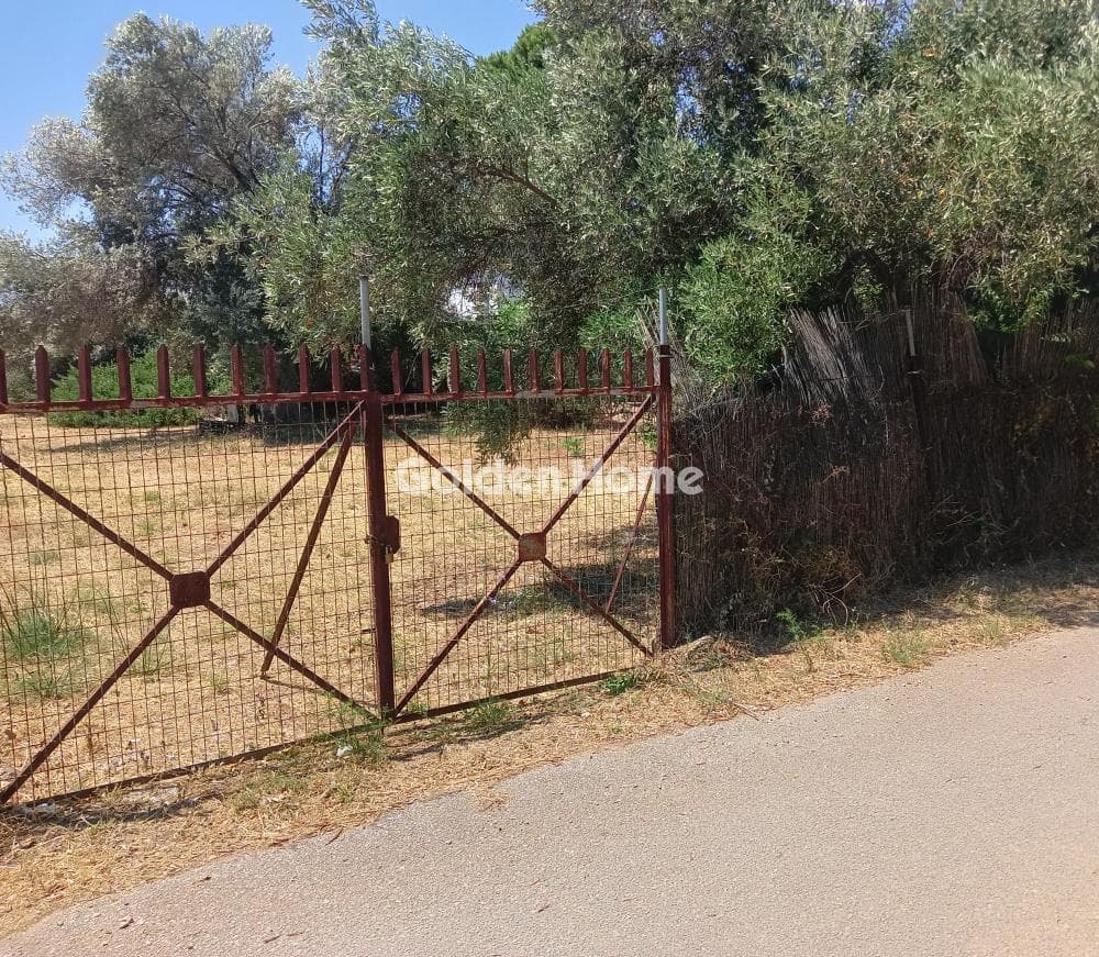 Οικόπεδο στην Αγία Τριάδα, Παιανία — Φωτογραφία 3 από 3