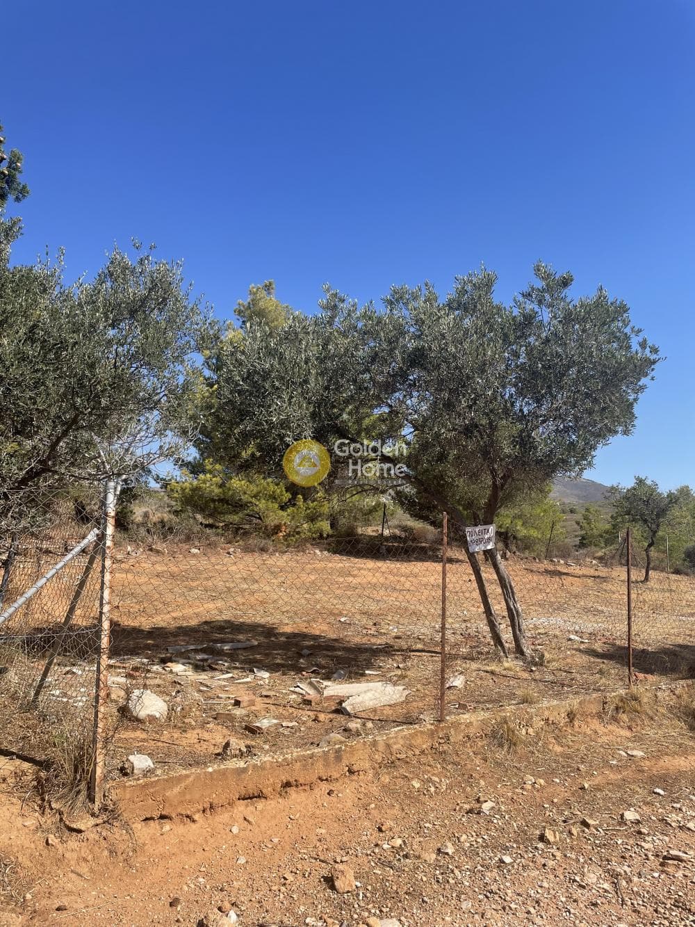 Αγροτεμάχιο στην Κέντρο, Πικέρμι — Φωτογραφία 3 από 4