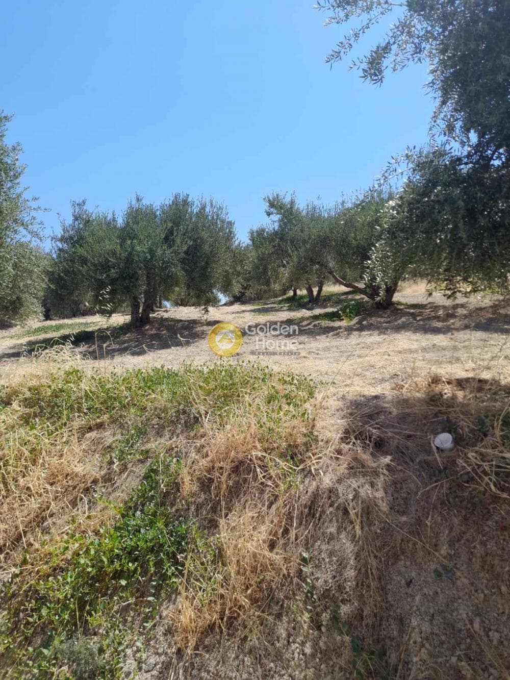 Οικόπεδο στην Πατσίδες, Αρχάνες — Φωτογραφία 2 από 5