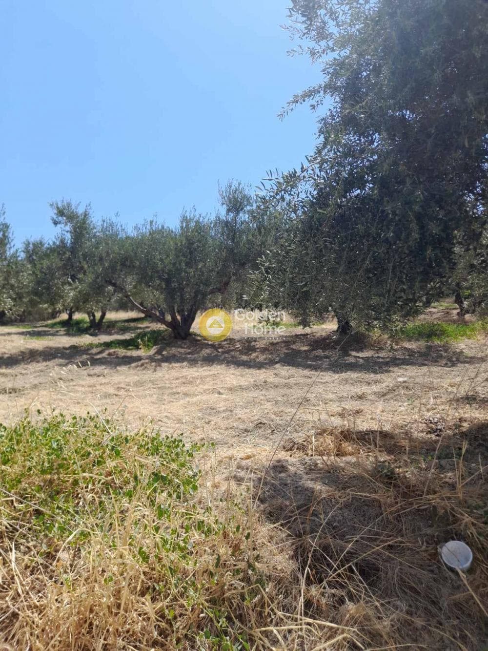 Οικόπεδο στην Πατσίδες, Αρχάνες — Φωτογραφία 3 από 5