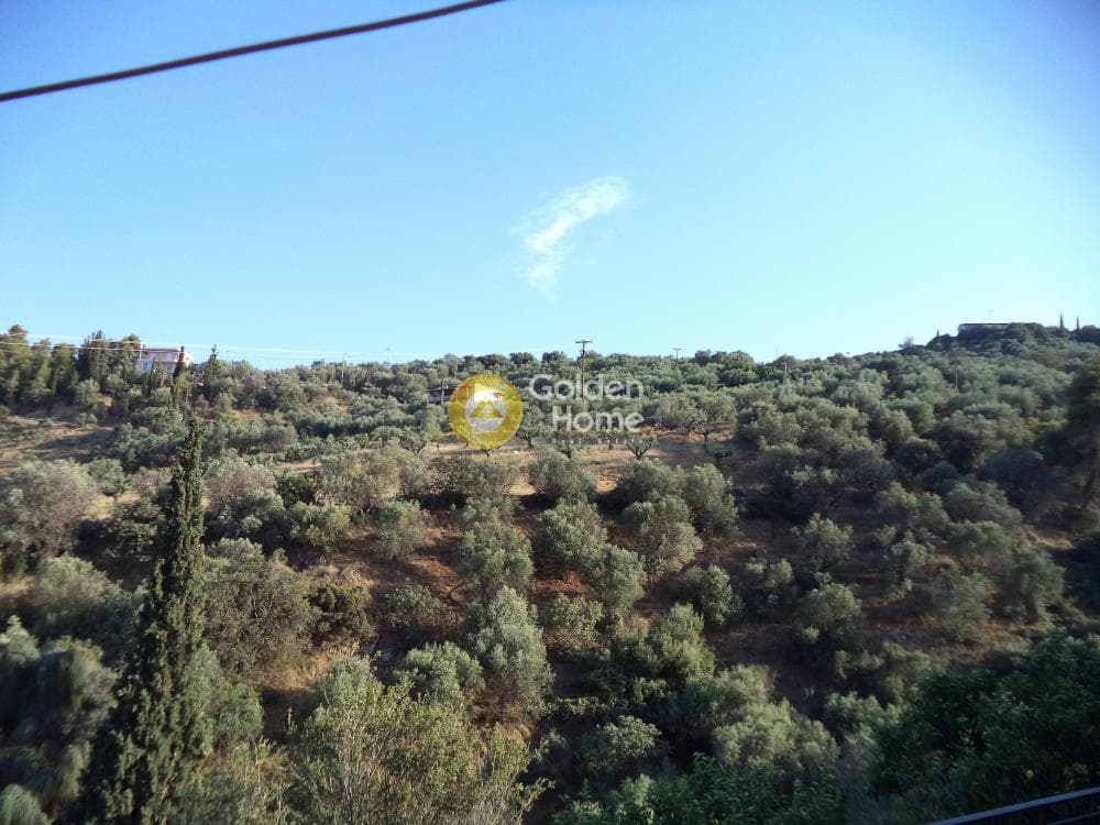 Μονοκατοικία στην Φωνησκαριά, Αίγιο — Φωτογραφία 9 από 14