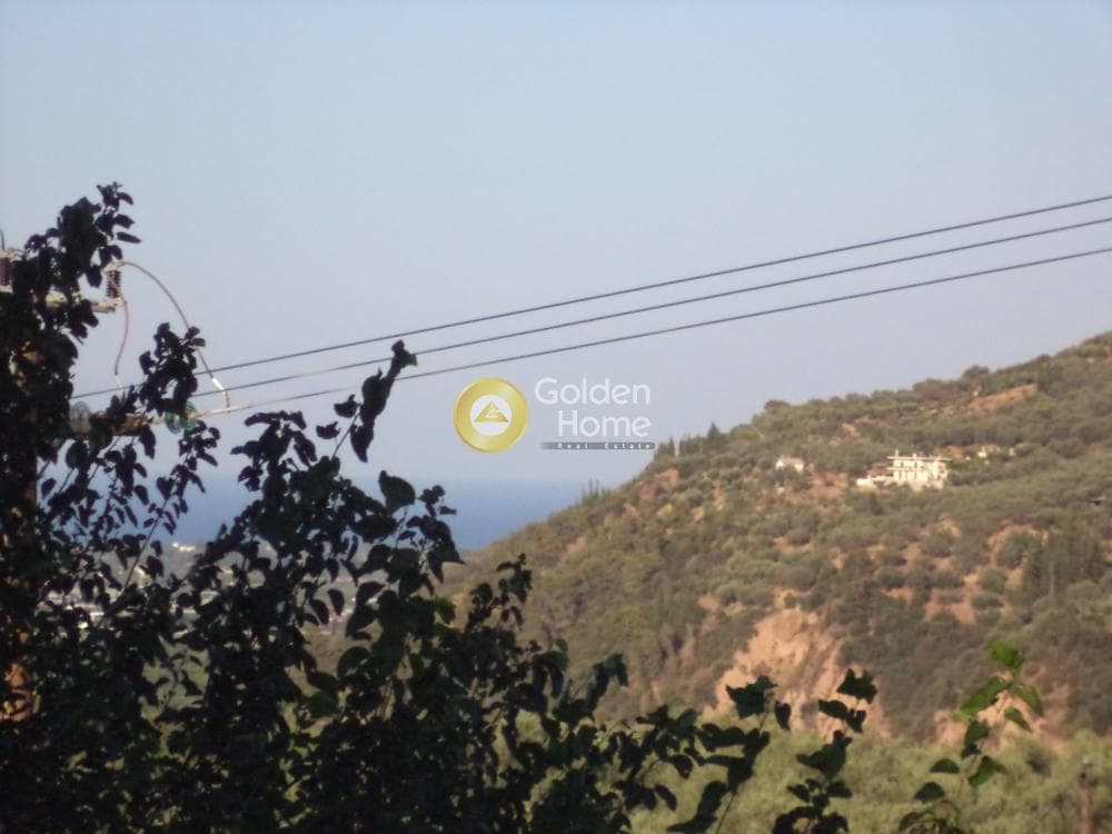 Μονοκατοικία στην Φωνησκαριά, Αίγιο — Φωτογραφία 10 από 14