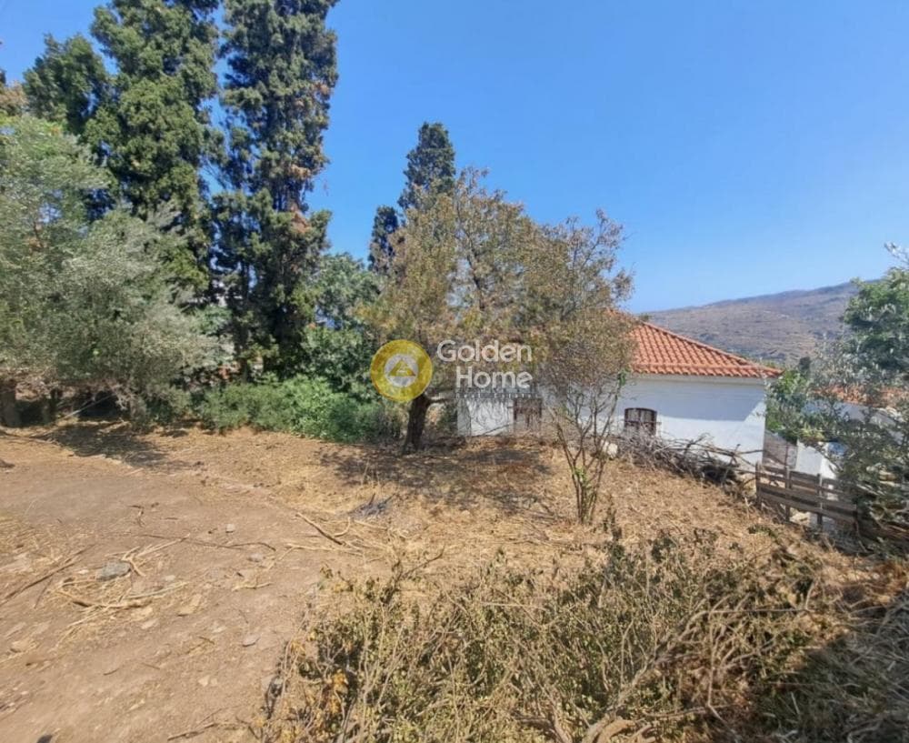 Οικόπεδο στην Λάμυρα, Άνδρος — Φωτογραφία 4 από 5
