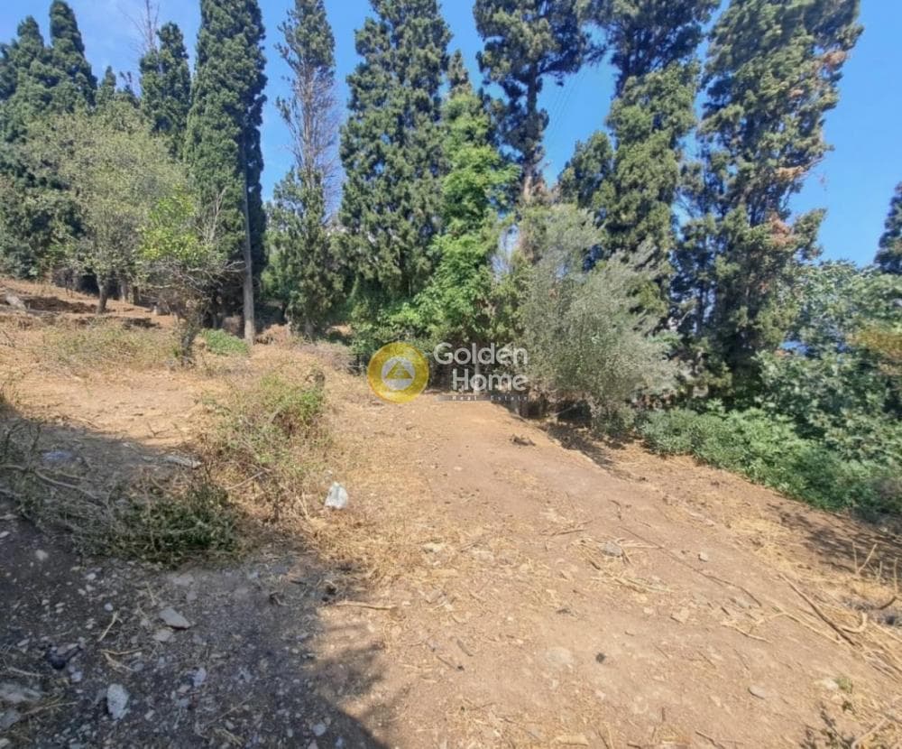 Οικόπεδο στην Λάμυρα, Άνδρος — Φωτογραφία 3 από 5