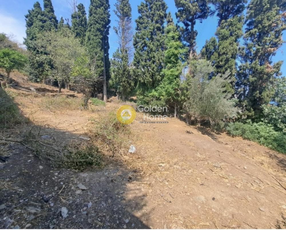 Οικόπεδο στην Λάμυρα, Άνδρος — Φωτογραφία 5 από 5