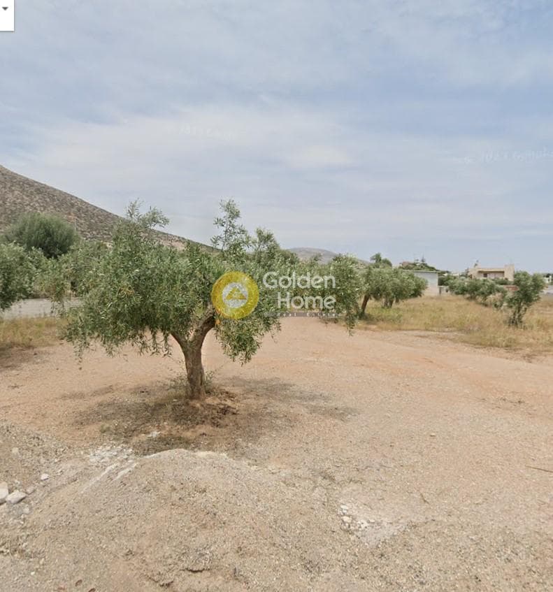 Αγροτεμάχιο στην Ανάβυσσος Κέντρο, Ανάβυσσος