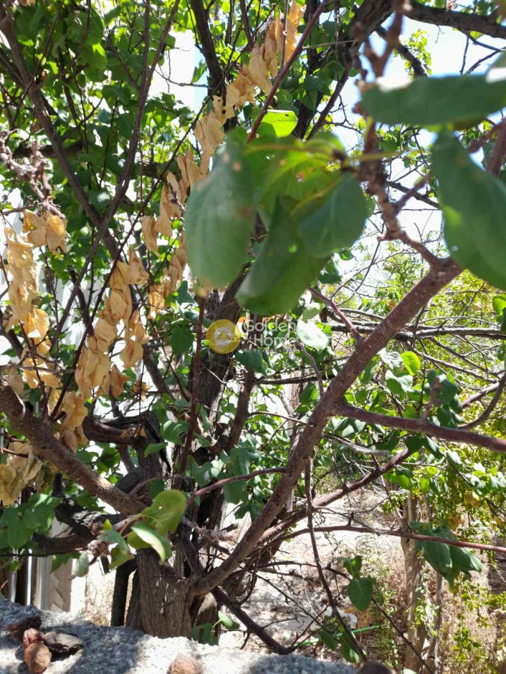 Οικόπεδο στην Ατσαλένιο, Ηράκλειο Κρήτης — Φωτογραφία 6 από 10