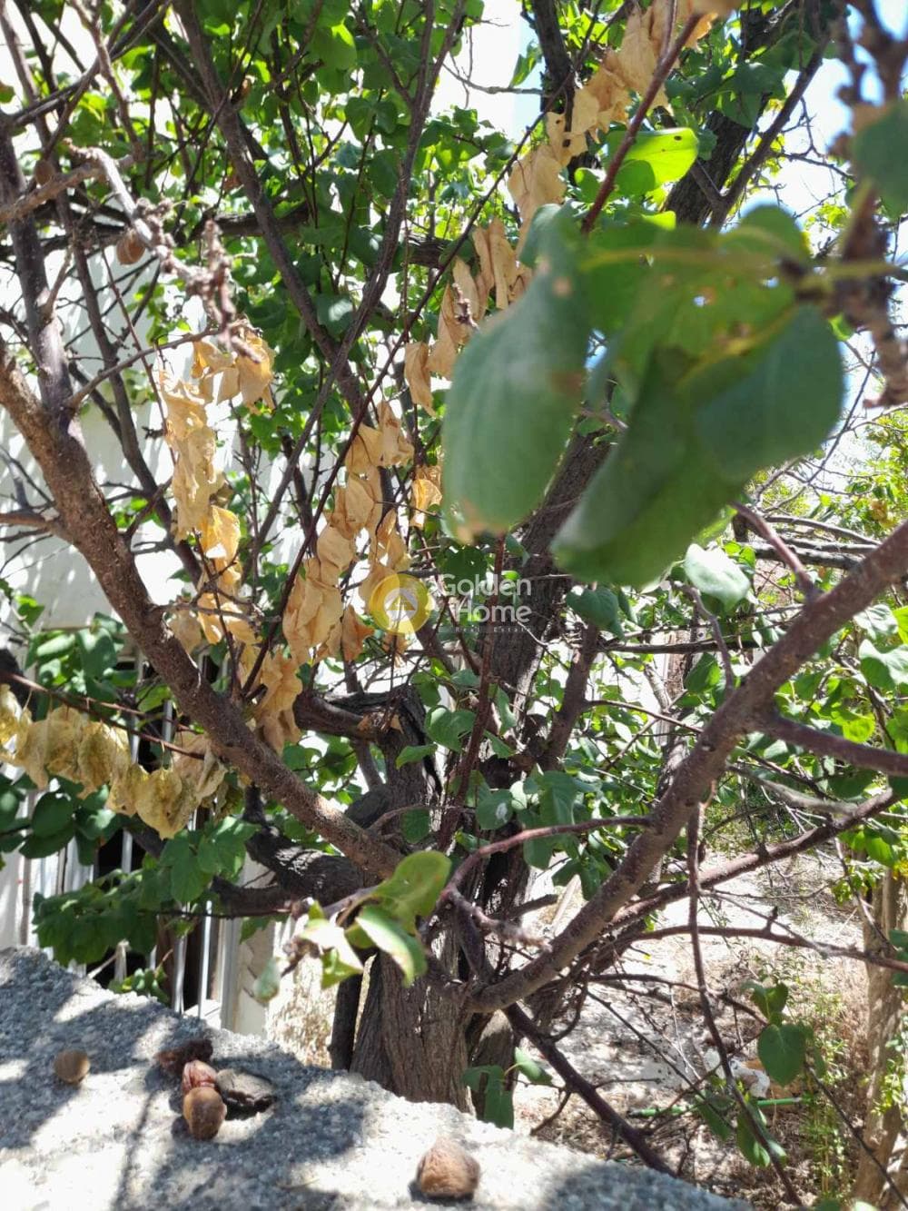 Οικόπεδο στην Ατσαλένιο, Ηράκλειο Κρήτης — Φωτογραφία 9 από 10