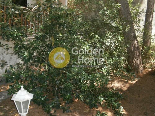 Μονοκατοικία στην Σαρωνίδα, Σαρωνίδα — Φωτογραφία 9 από 9
