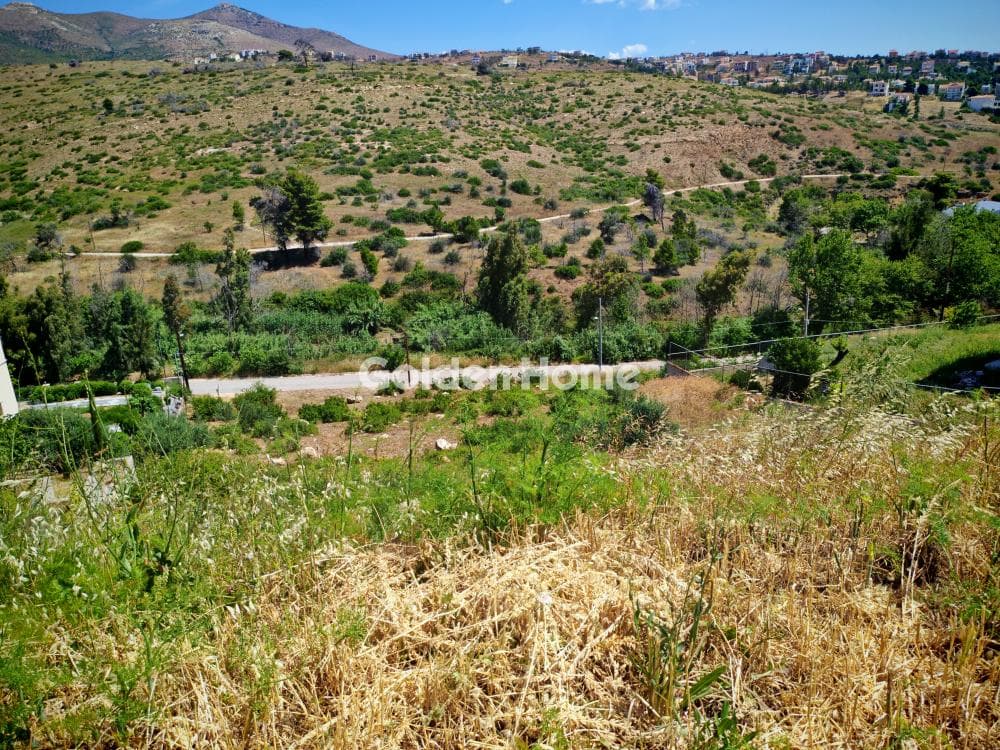 Οικόπεδο στην Ντράφι, Πικέρμι — Φωτογραφία 1 από 3