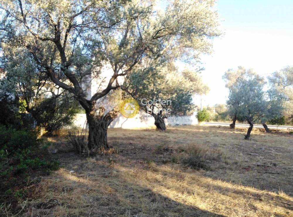 Οικόπεδο στην Στούντιο Άλφα, Μαρούσι — Φωτογραφία 9 από 11