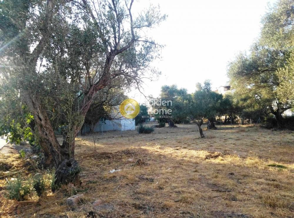 Οικόπεδο στην Στούντιο Άλφα, Μαρούσι — Φωτογραφία 3 από 11