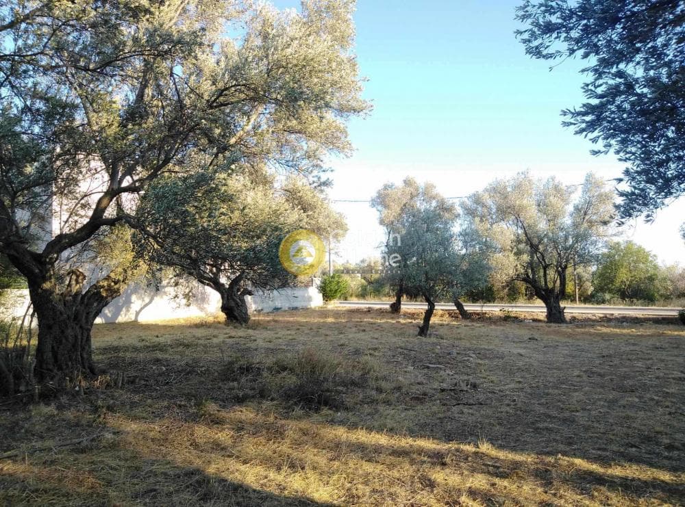 Οικόπεδο στην Στούντιο Άλφα, Μαρούσι — Φωτογραφία 10 από 11