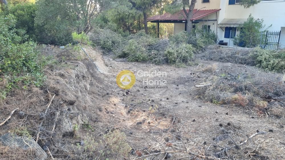Building Plot in Therma, Aegina — Photo 2 of 4
