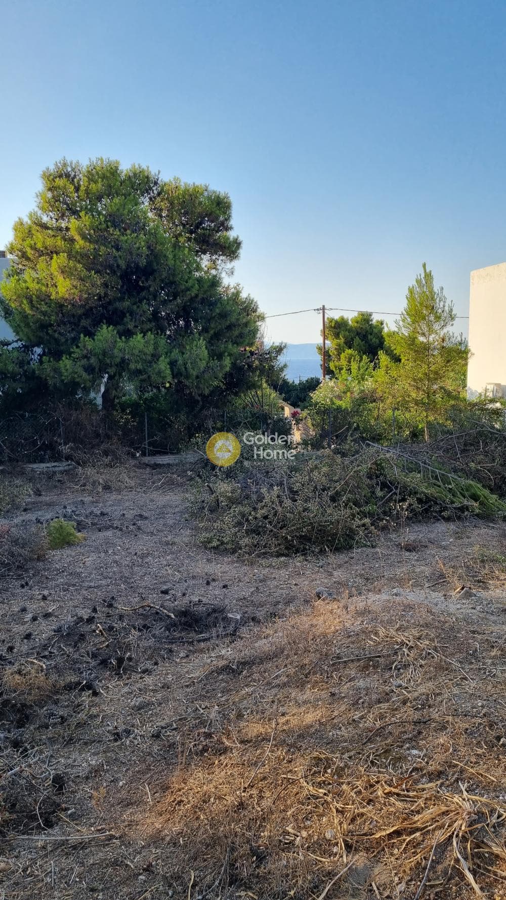 Building Plot in Therma, Aegina — Photo 3 of 4