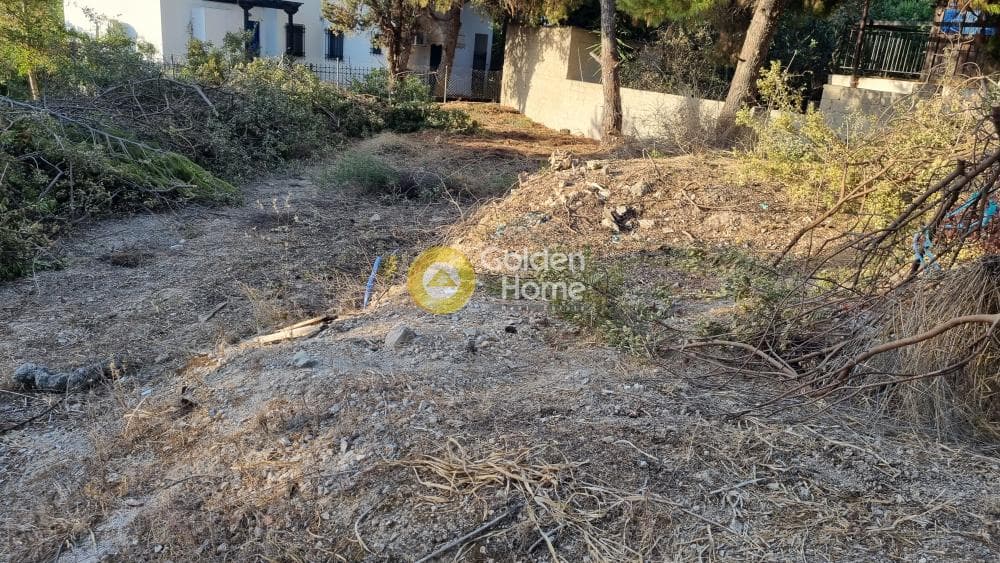 Building Plot in Therma, Aegina — Photo 4 of 4