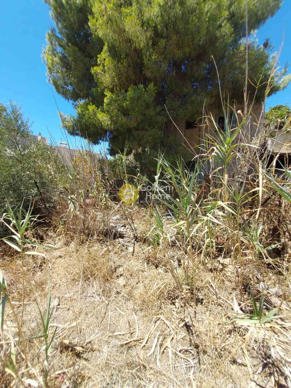 Οικόπεδο στην Βορινέζα, Αρτέμιδα (Λούτσα) — Φωτογραφία 1 από 3