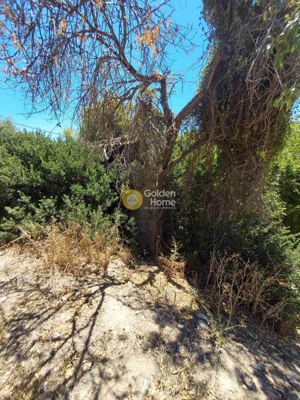 Οικόπεδο στην Βορινέζα, Αρτέμιδα (Λούτσα) — Φωτογραφία 3 από 3