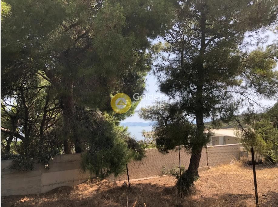 Building Plot in Chamolia, Vravrona — Photo 2 of 6