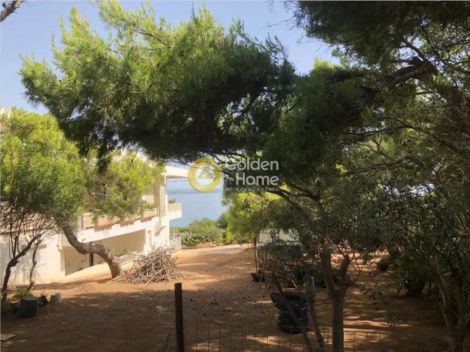 Building Plot in Chamolia, Vravrona — Photo 3 of 6