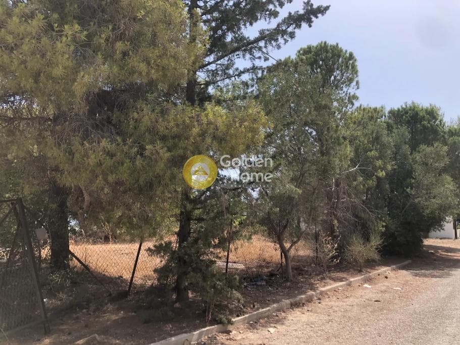 Building Plot in Chamolia, Vravrona — Photo 4 of 6