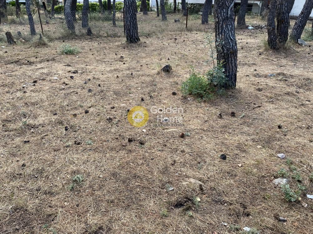 Building Plot in Fasideri, Anoixi — Photo 1 of 5