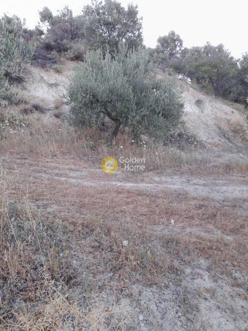 Οικόπεδο στην Σταυράκια, Τετραχώρι — Φωτογραφία 2 από 3