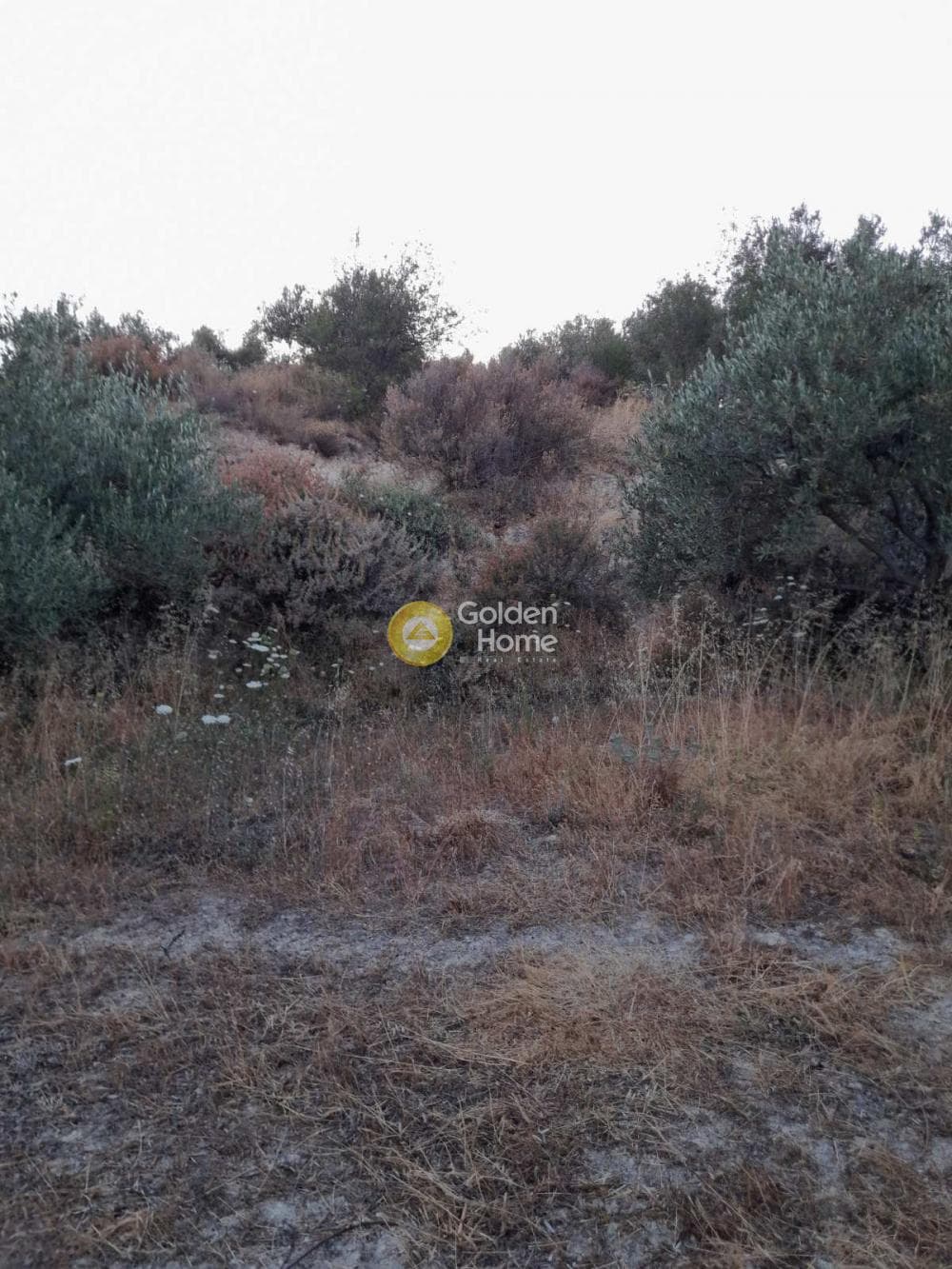 Οικόπεδο στην Σταυράκια, Τετραχώρι — Φωτογραφία 3 από 3