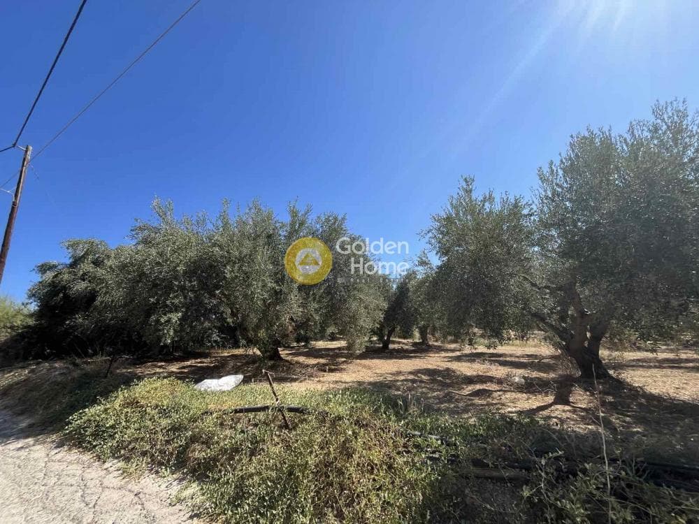 Building Plot in Kavrochori, Gazi — Photo 1 of 6