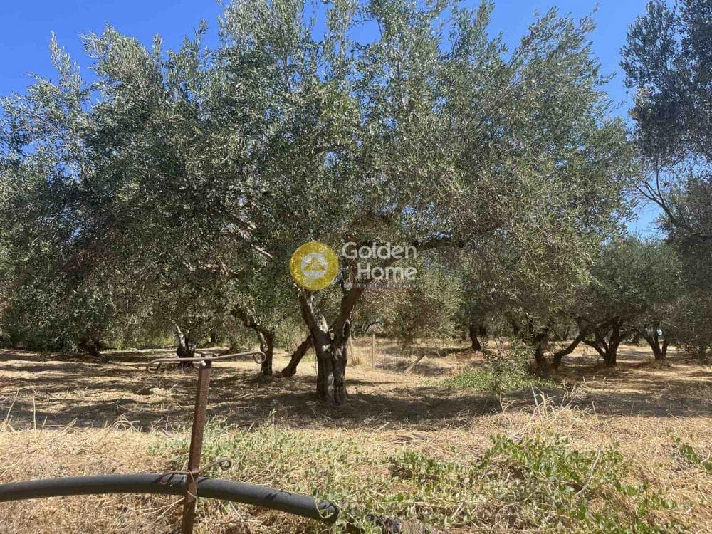 Building Plot in Kavrochori, Gazi — Photo 5 of 6