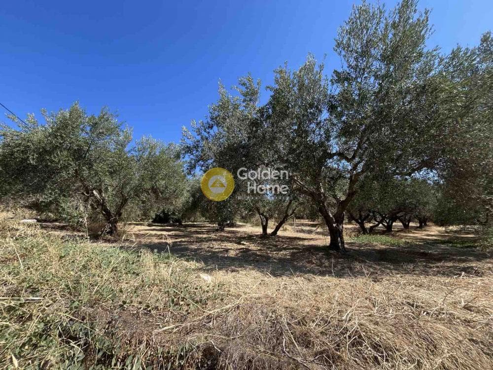 Building Plot in Kavrochori, Gazi — Photo 6 of 6