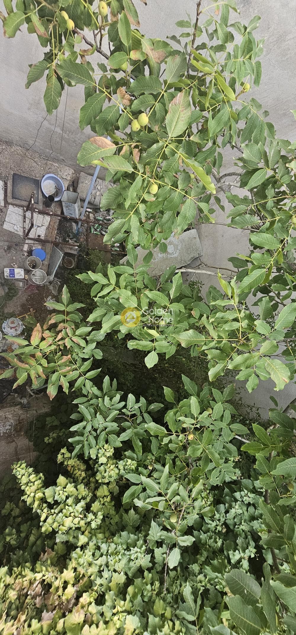 Building Plot in Agios Nikolaos, Kamatero — Photo 7 of 7