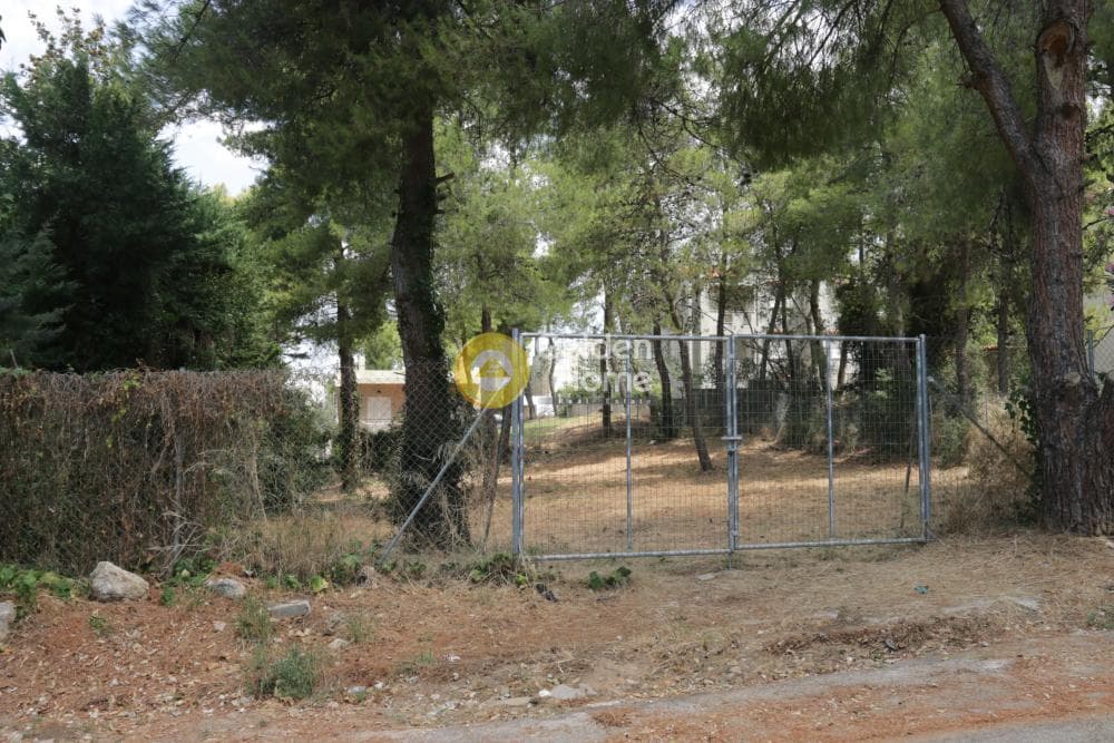 Building Plot in Lofos Antheon, Stamata — Photo 2 of 5