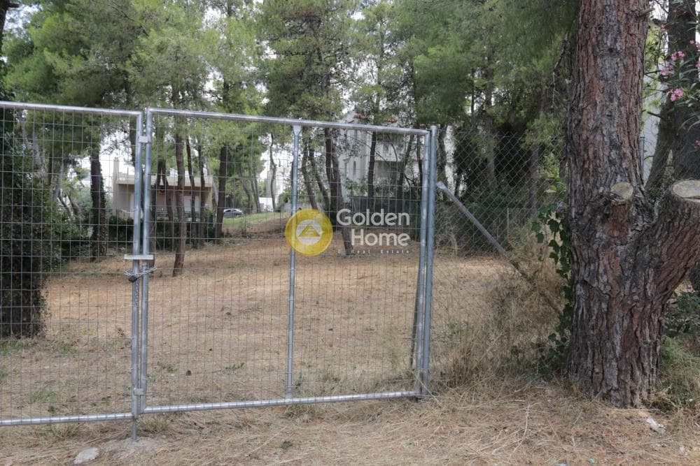 Building Plot in Lofos Antheon, Stamata — Photo 4 of 5