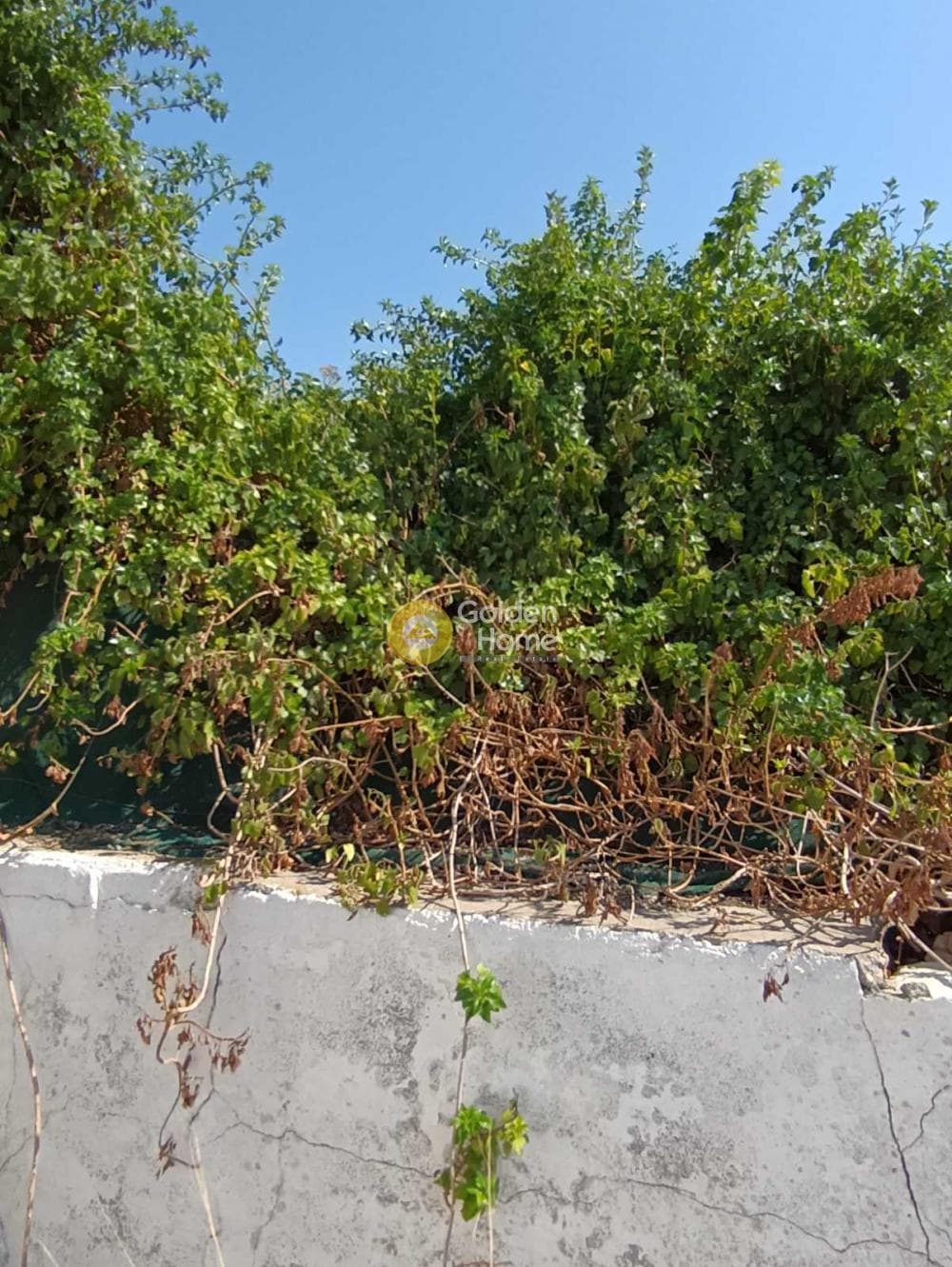 Οικόπεδο στην Επάνω Αρχάνες, Αρχάνες — Φωτογραφία 3 από 17