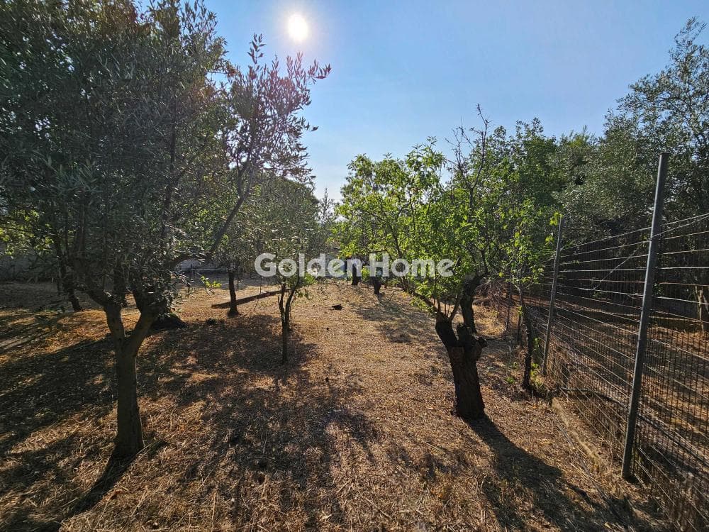 Building Plot in Center, Penteli — Photo 4 of 7