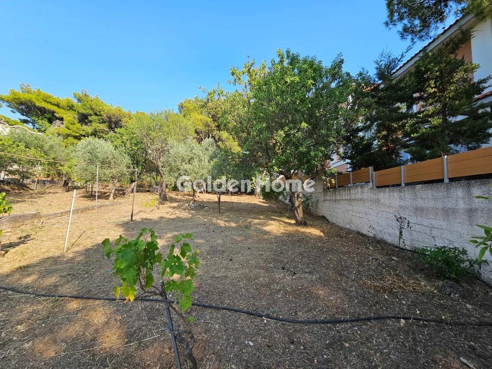 Building Plot in Center, Penteli — Photo 5 of 7