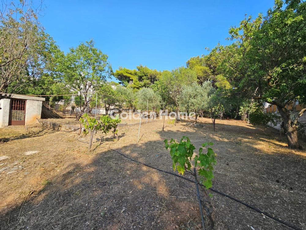 Building Plot in Center, Penteli — Photo 6 of 7