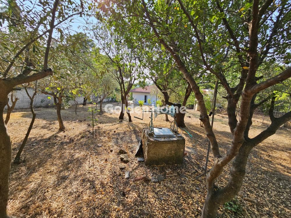 Building Plot in Center, Penteli — Photo 7 of 7