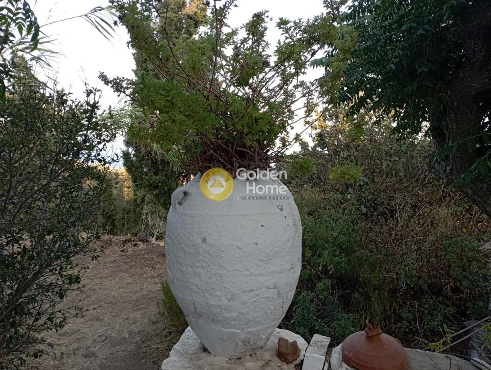 House in Pera Meria, Kea — Photo 42 of 50